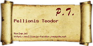 Pellionis Teodor névjegykártya